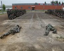 币游体育官网注册-布莱顿今晨战术微调，志在中超名次提升，质疑声仍在，临场指挥获称赞